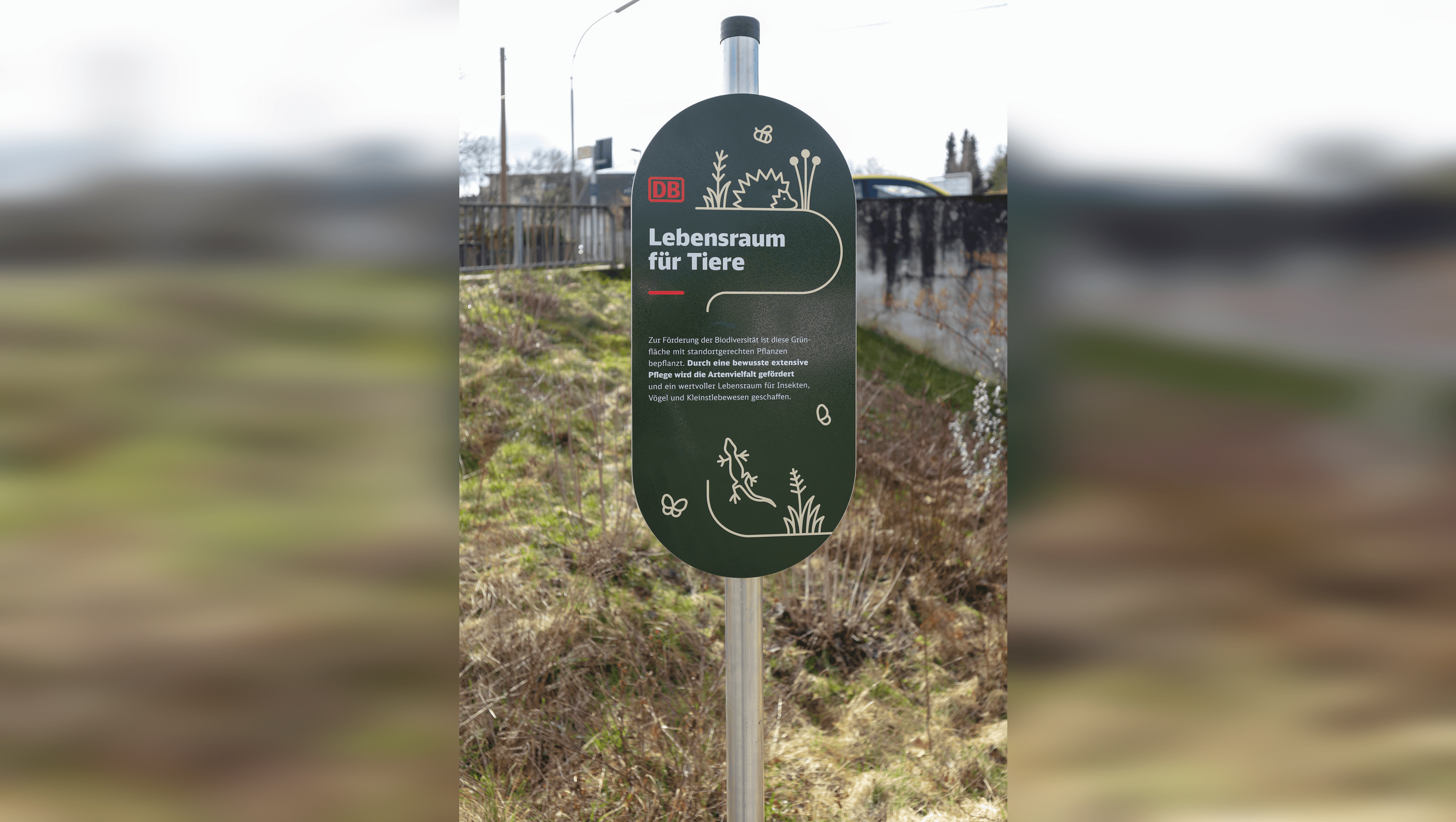 Hinweisschild "Lebensraum für Tiere" auf eine Wildblumenwiese.