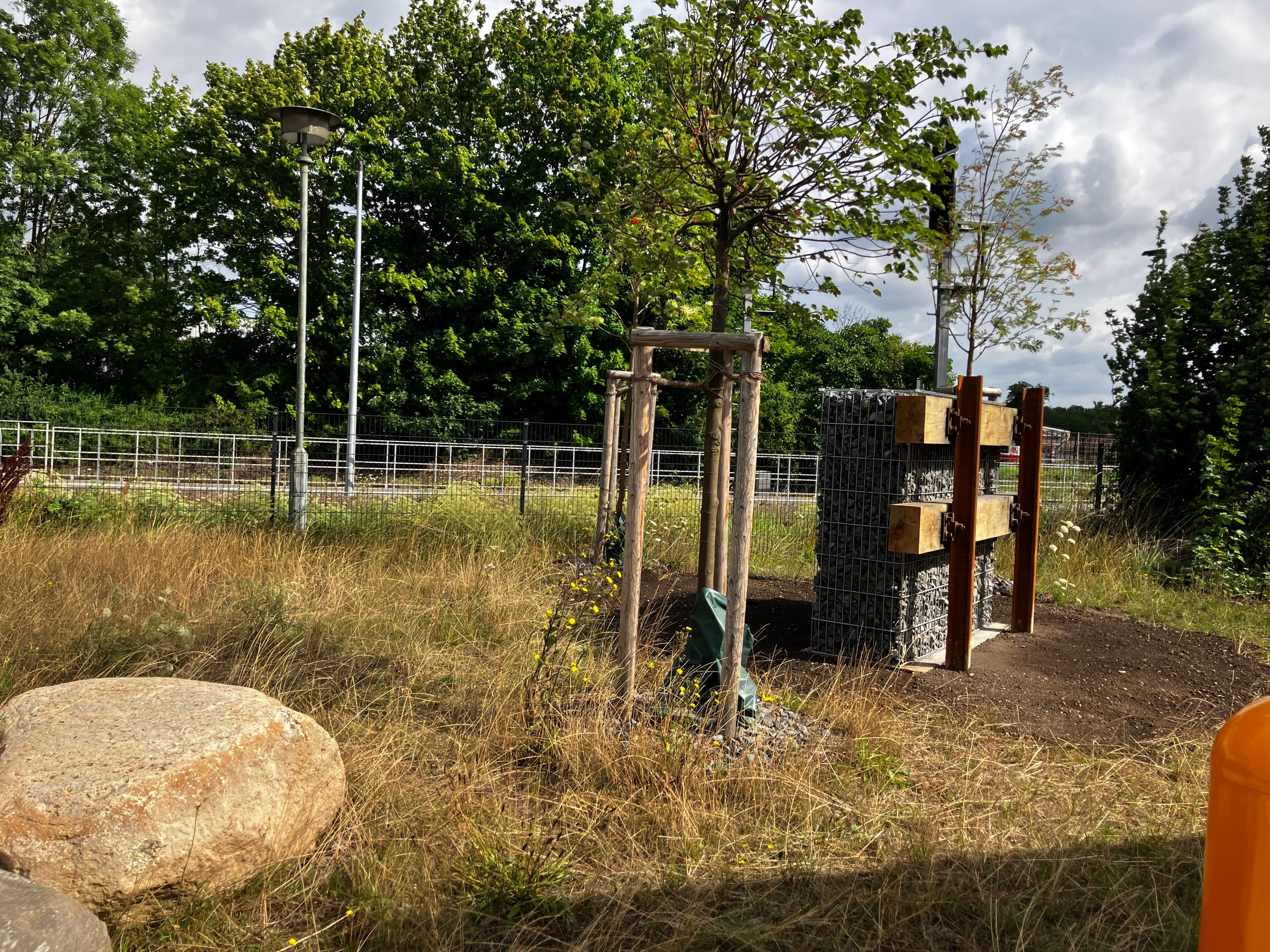 Zu sehen ist eine begrünte Fläche direkt hinter dem Bahnsteig mit einer Gabionenwand für Insekten und zwei frisch gepflanzten Bäumen.