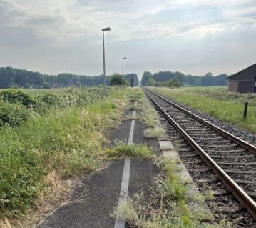 Mit Gras zugewachsener Bahnsteig.