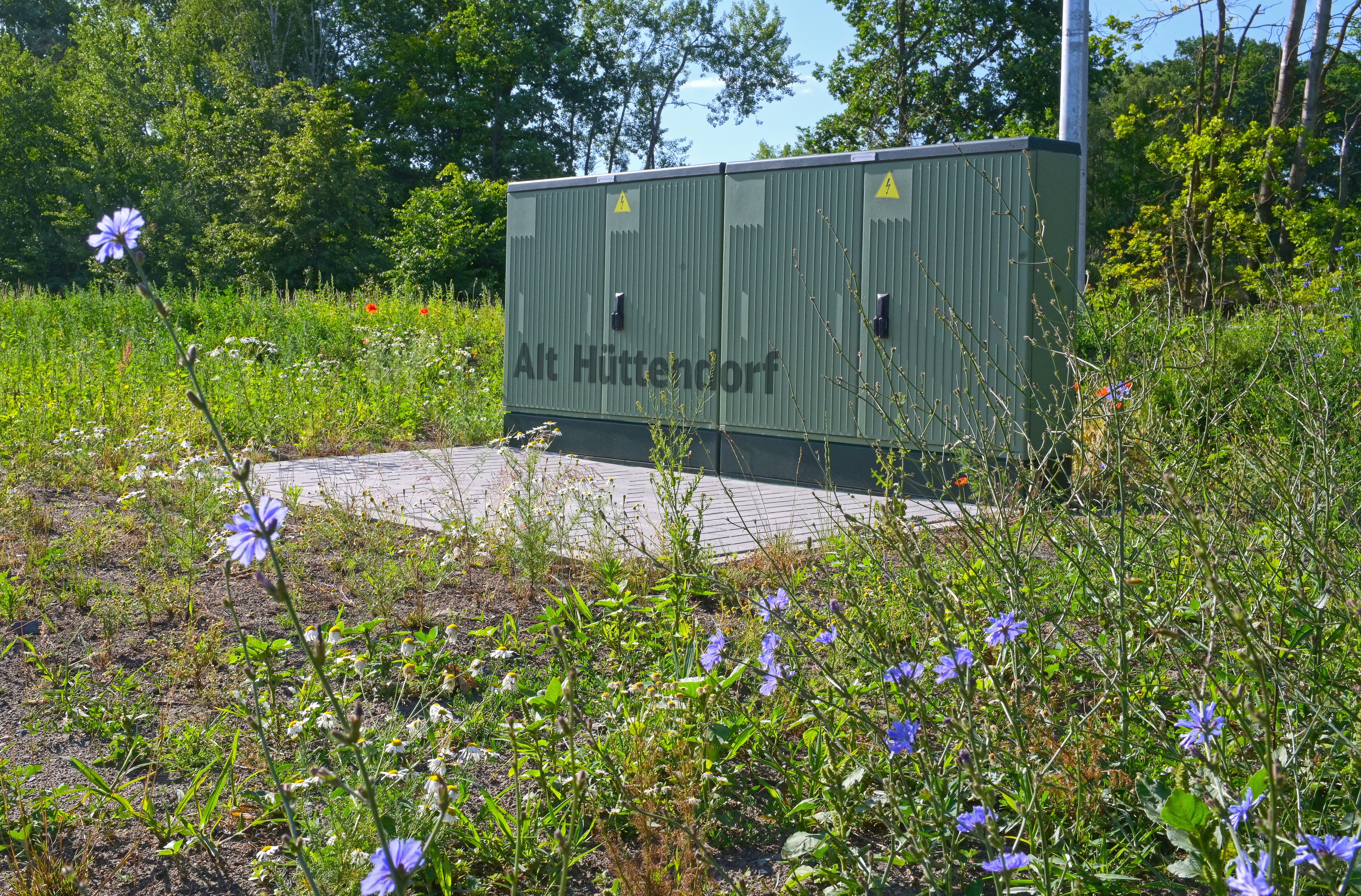Grün gestrichene Stromkästen inmitten einer Wiese.