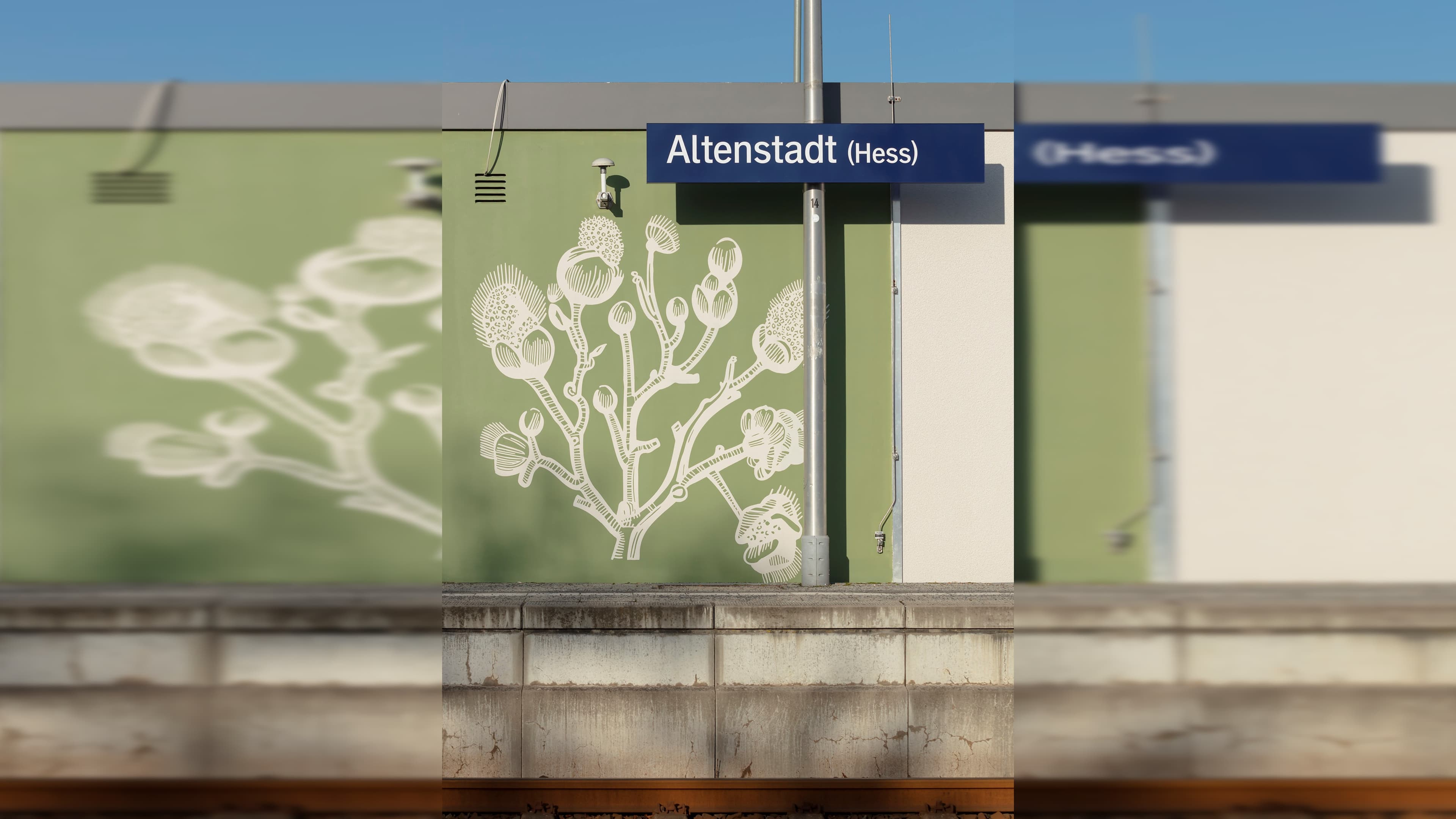Das blaue Bahnhofsschild Altenstadt (Hess) vor einer grünen Wand. Auf der Wand eine in weiß gezeichnete Blume.