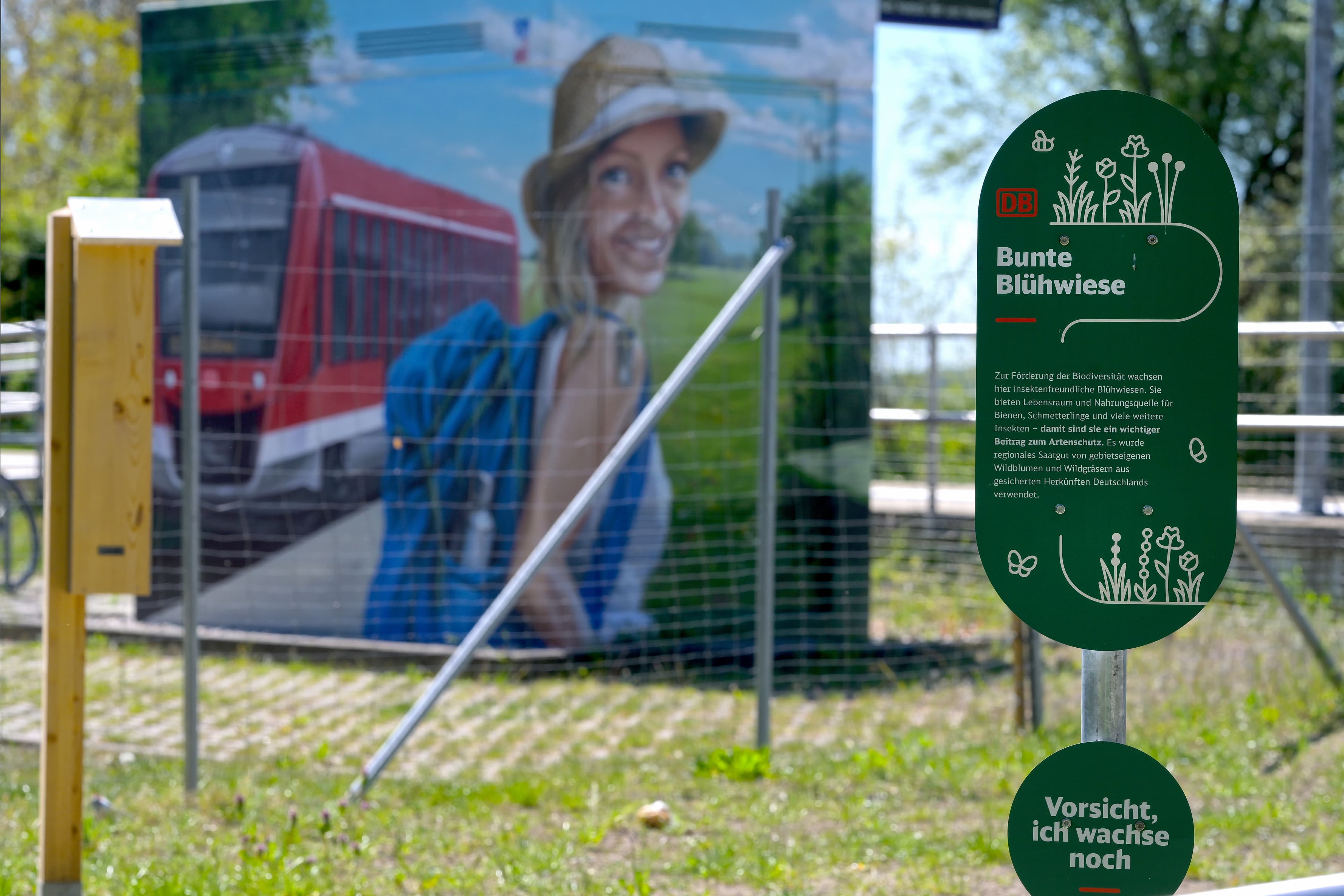 Blick auf ein Schild über eine Blumenwiese neben dem Bahnhof.