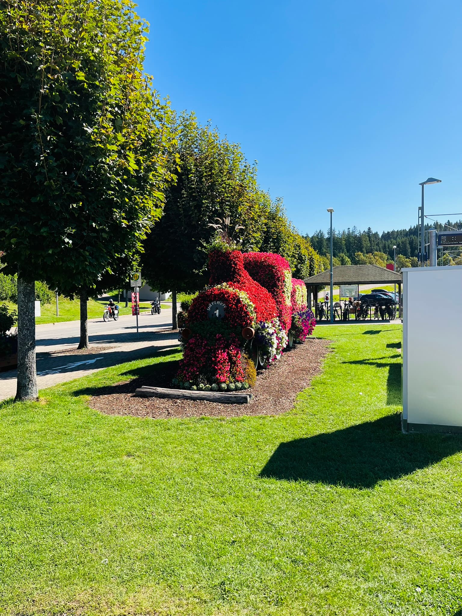 Gepflegte Grünfläche mit formgeschnittenen Sträuchern und Blumen am Bahnhof Schluchsee