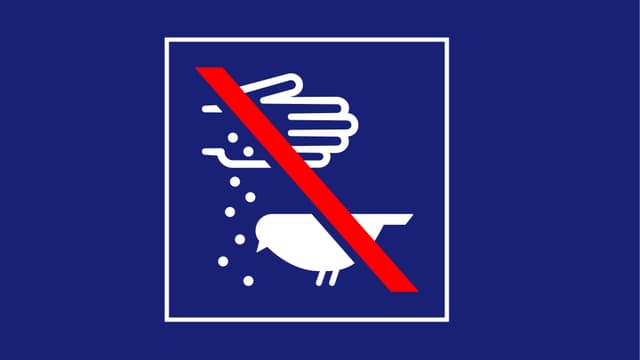 Tauben füttern verboten