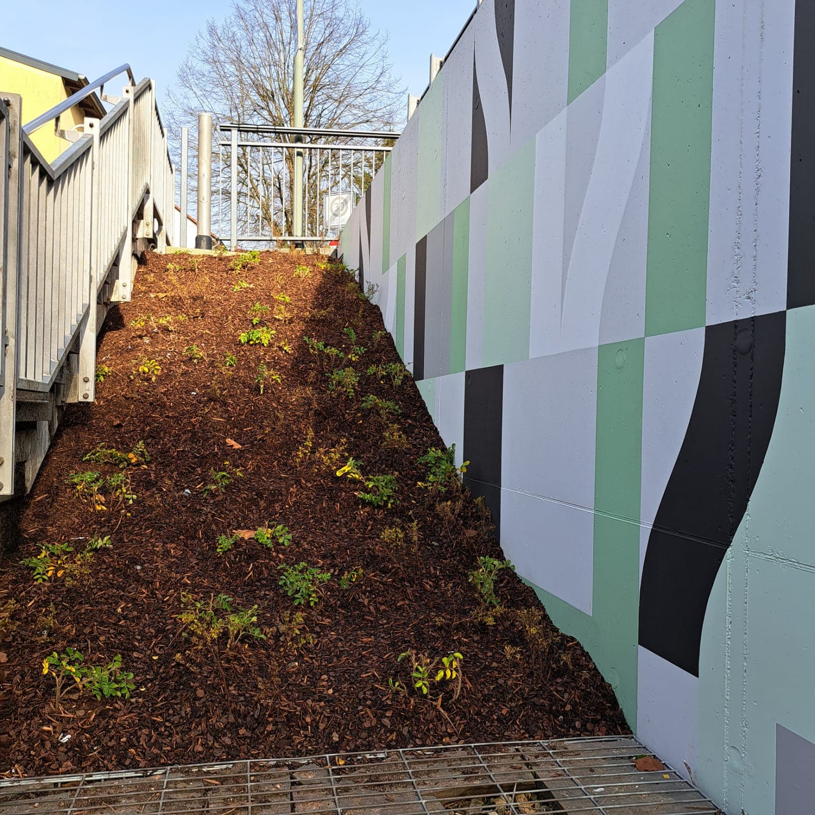 Mittig Gehölzbeflanzung, rechts eine bunte Wand und links ein Treppenaufgang.