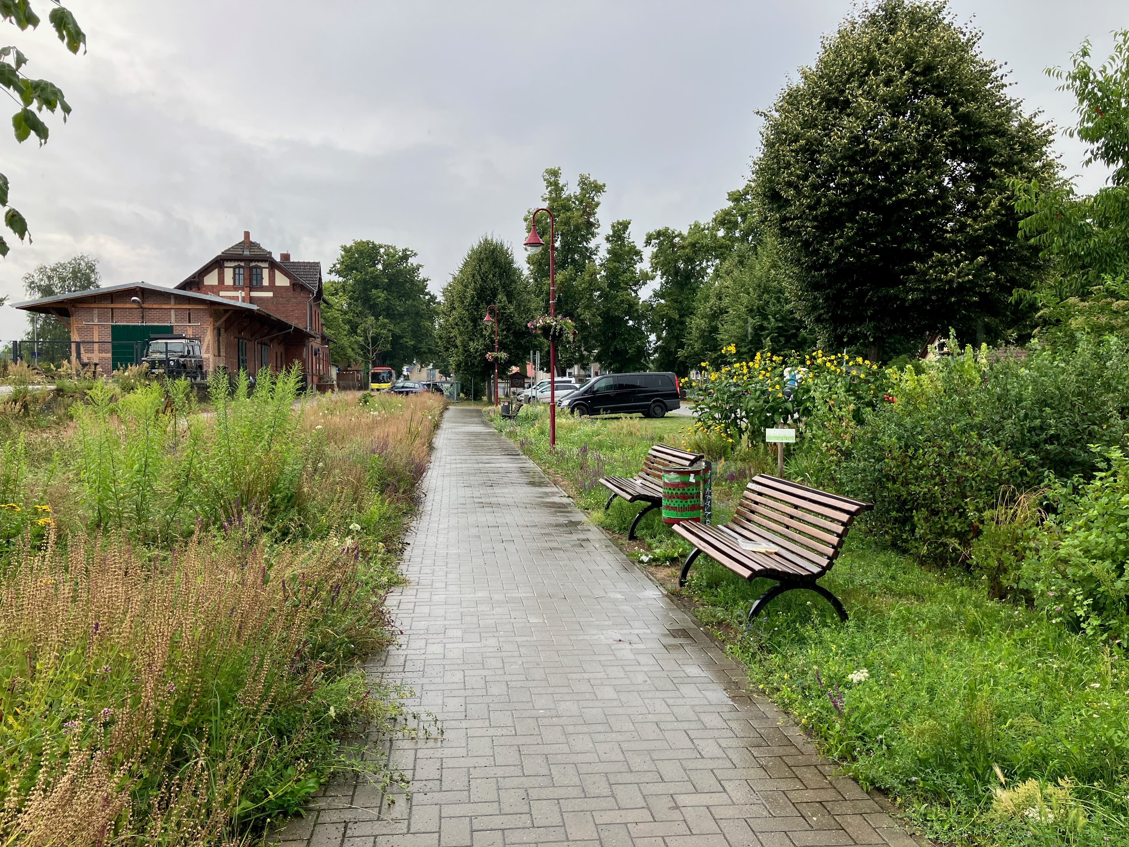 Ein gepflasterter Weg, links und rechts bepflanzt.