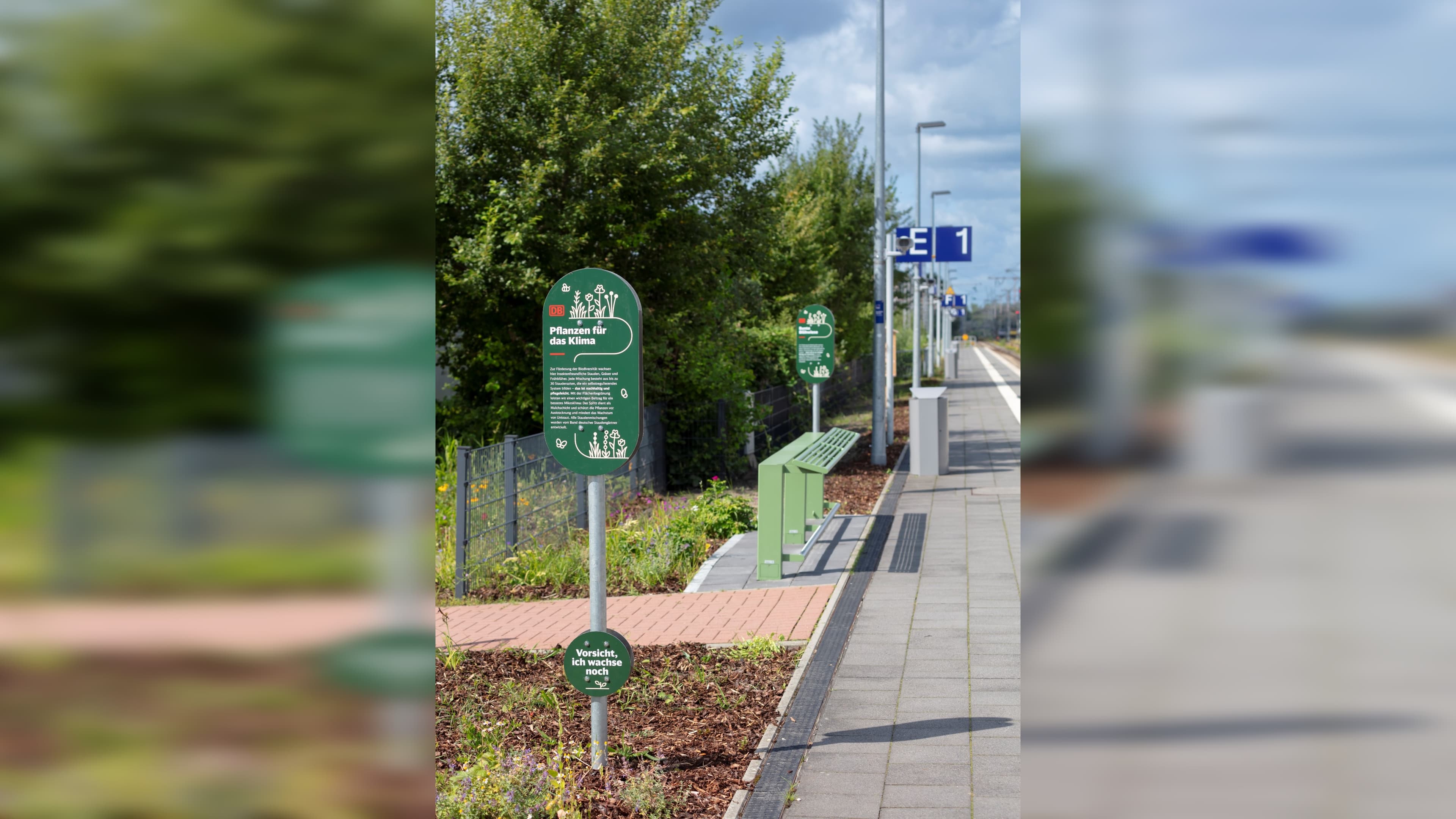 Im Bild der am Rande begrünte Bahnsteig an Gleis 1.