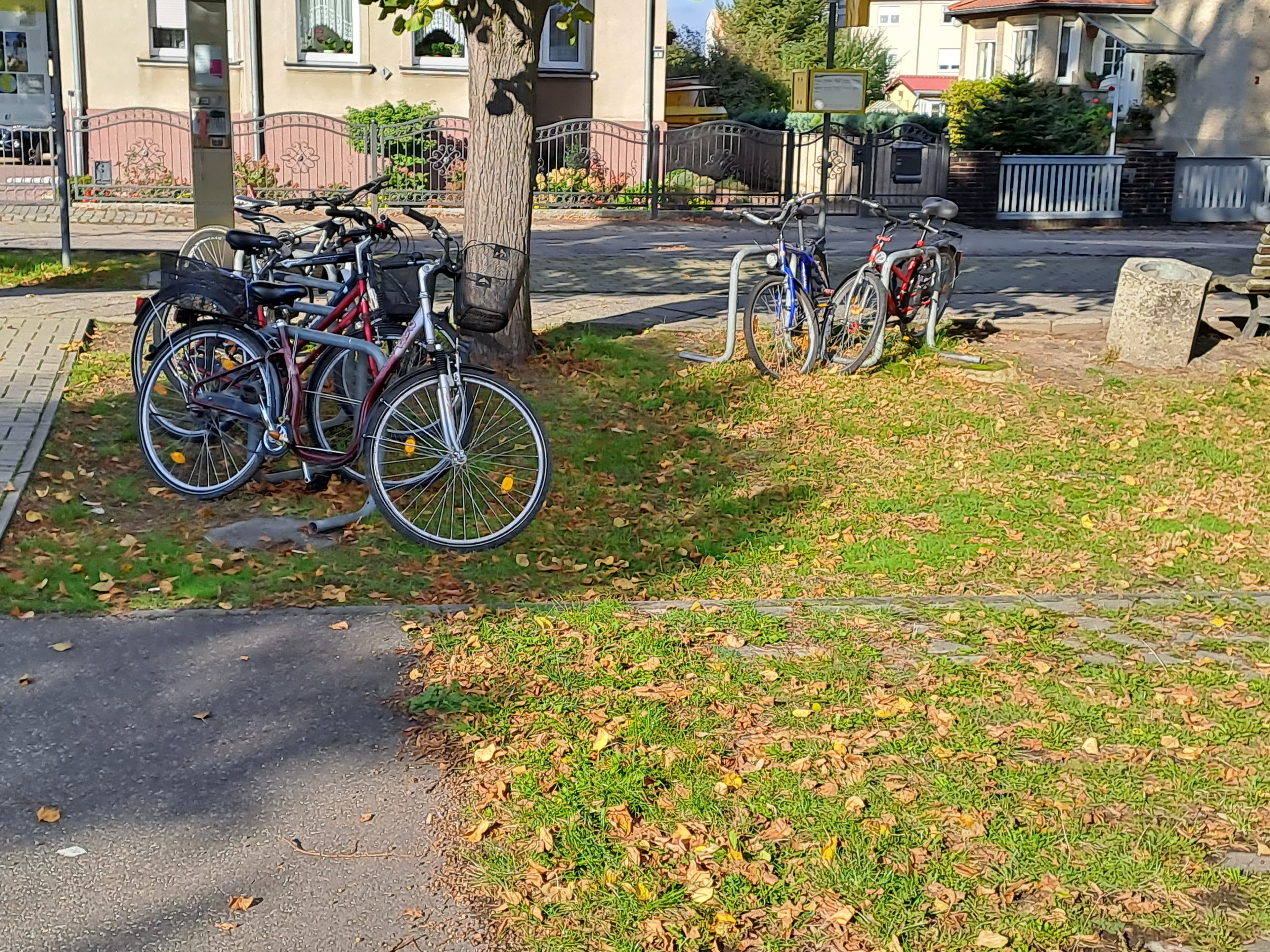 Fahrräder parken auf dem Vorplatz mit Bäumen und grüner Wiese.