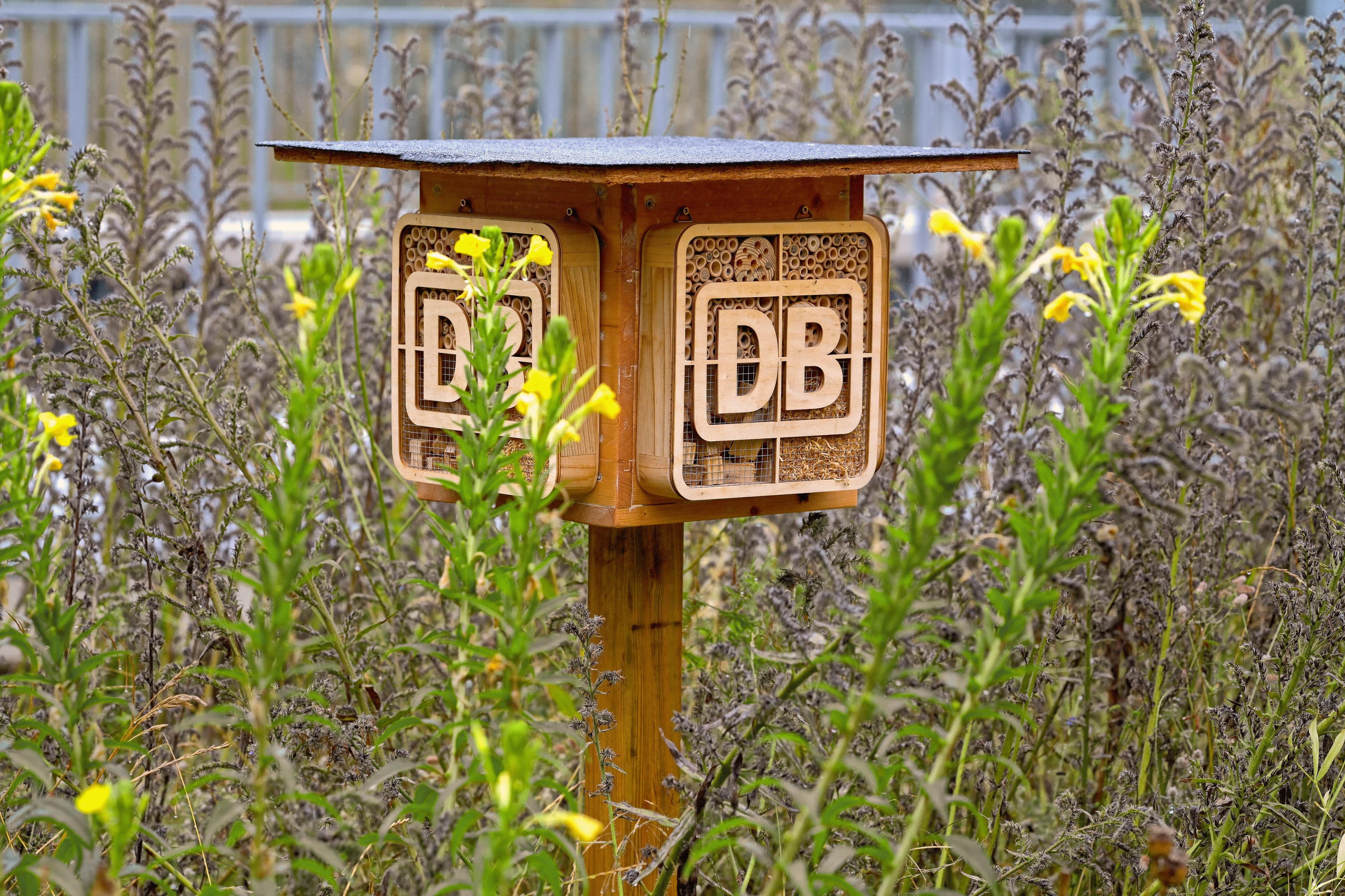Zu sehen ist ein Insektenhotel der Deutschen Bahn inmitten einer Blumenwiese.