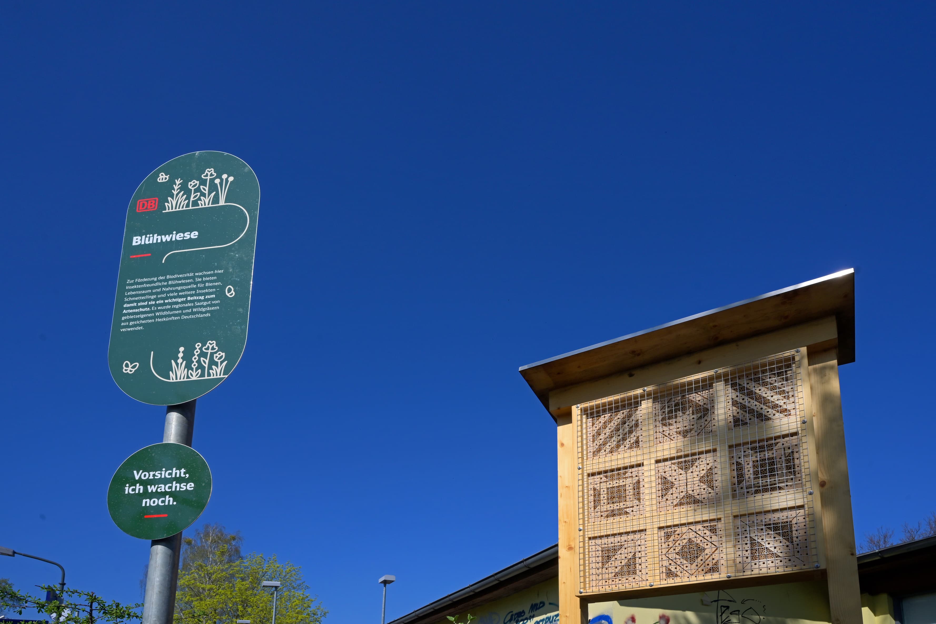 Ein Infoschild steht neben einer Insekten-Nisthilfe aus Holz.