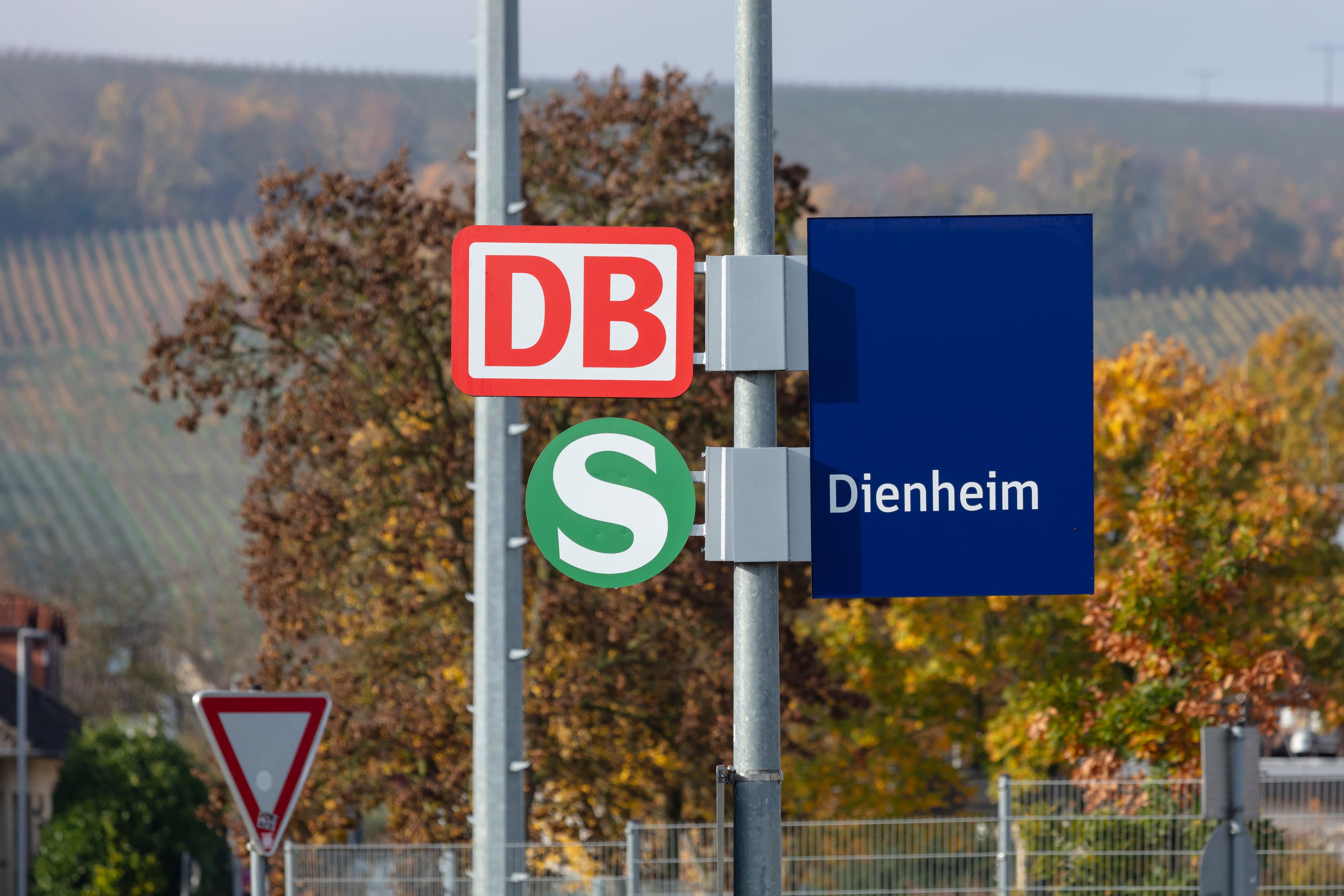 Blaues Bahnhofsschild mit weißer Schrift Dienheim, daneben rot-weißes DB Logo und grünes S-Bahn-Logo.