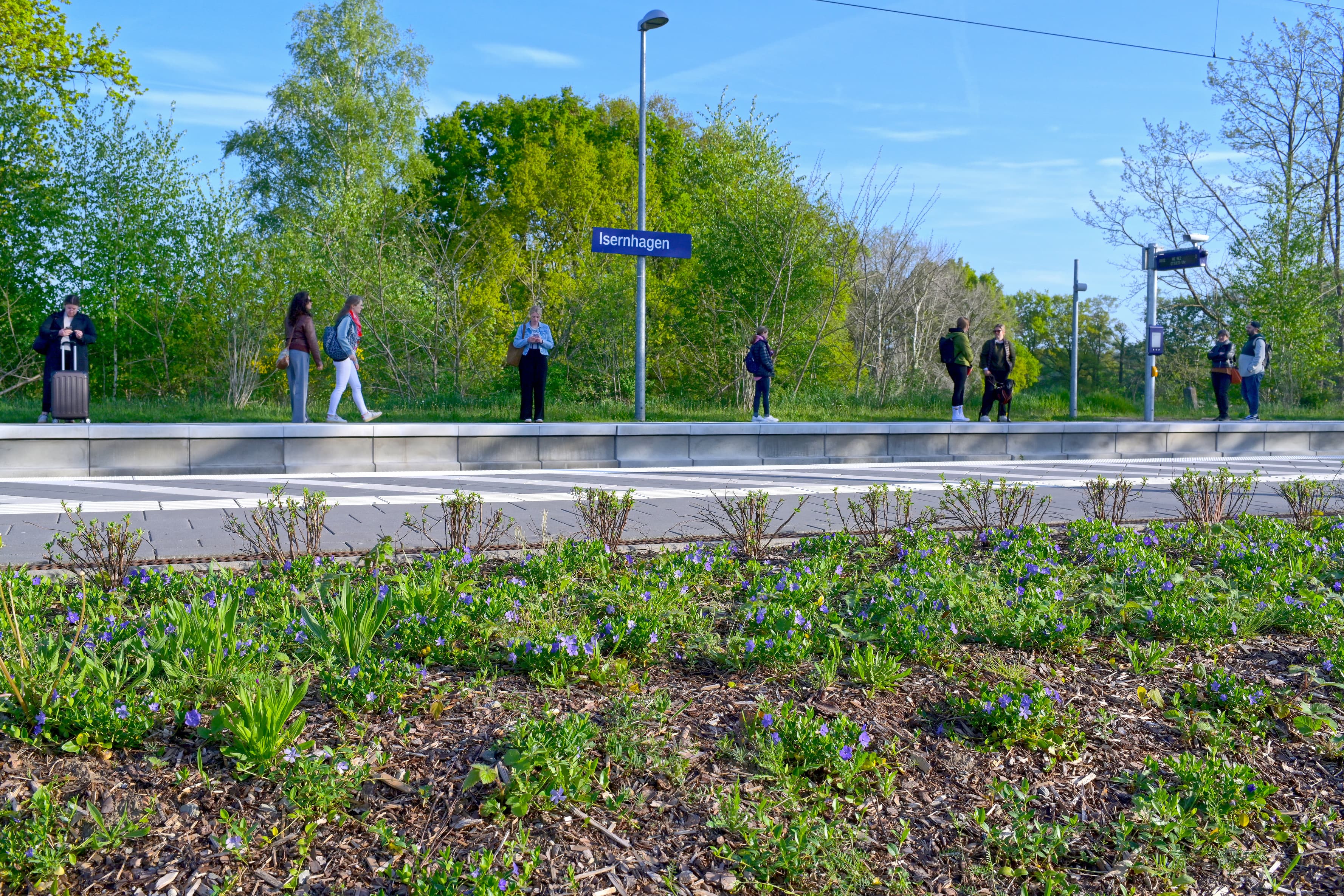 Ein Pflanzbeet am Rande der Bahnsteigs.