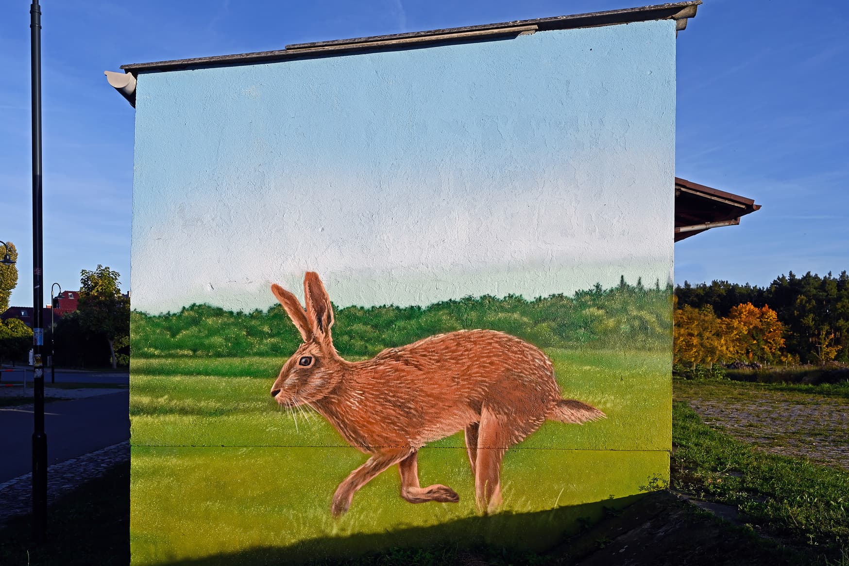 Neu gestaltetes Häuschen. Mittig ist ein Hase in grüner Landschaft zu erkennen.