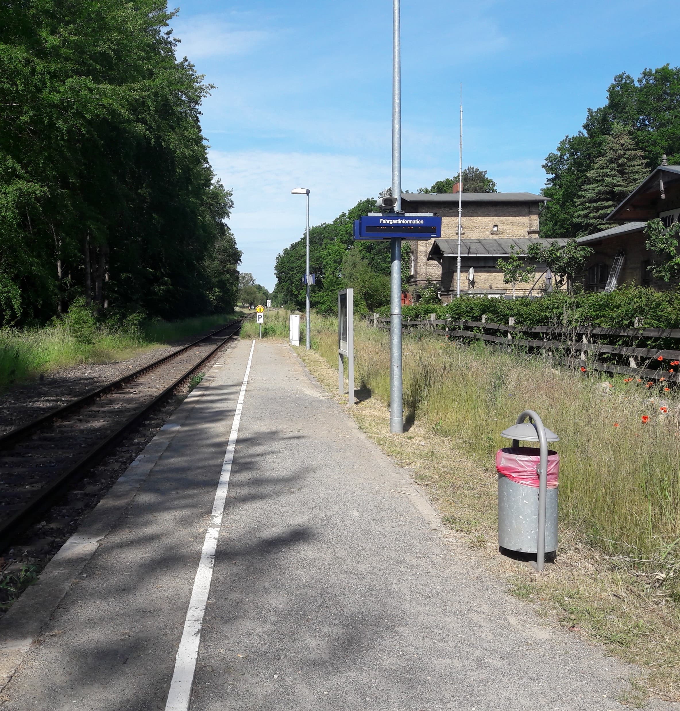 Ein Bahnsteig mit alter Anzeige, Vitrine und Mülleimer.