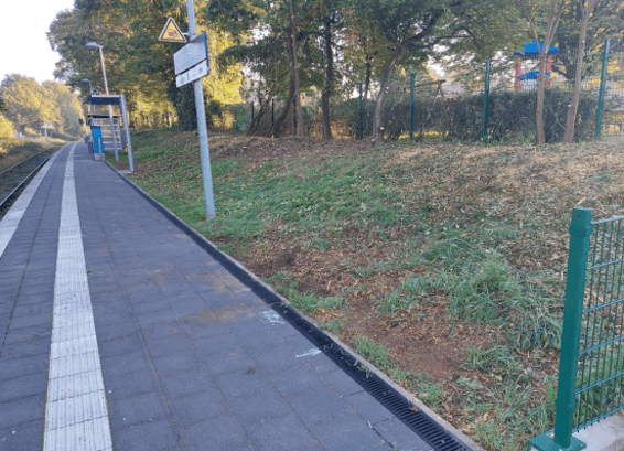 Grünfläche neben einem Bahnsteig.